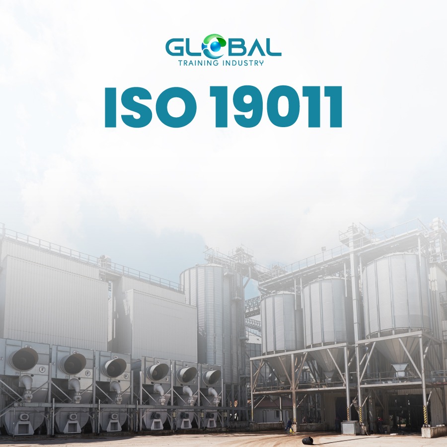 ISO 19011 DANKEL MEDICAL